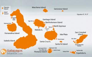 Galapagos Cruise Legend